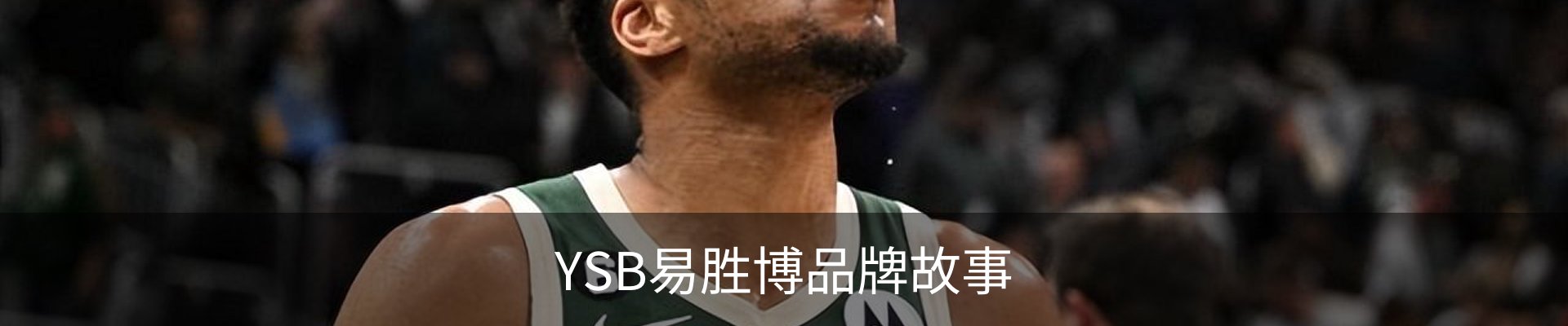 YSB易胜博品牌故事