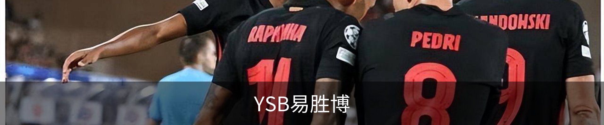 YSB易胜博